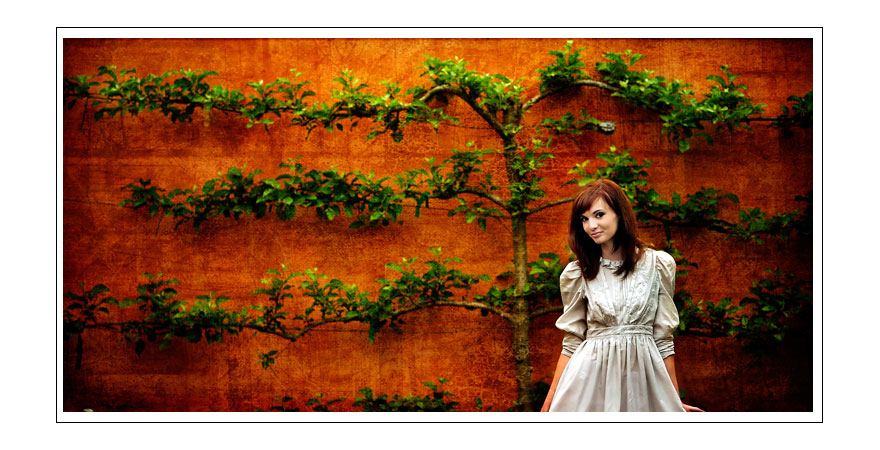 wppi2.jpg