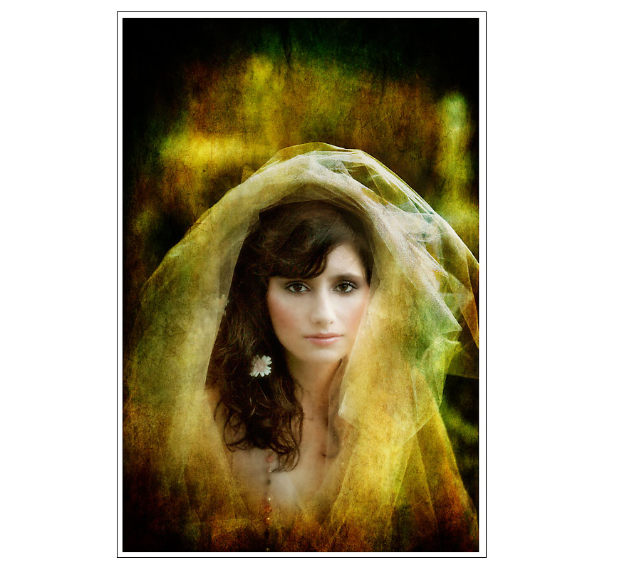 wppi3.jpg