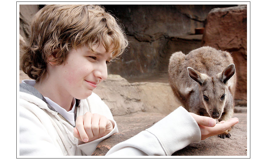australia246s.jpg