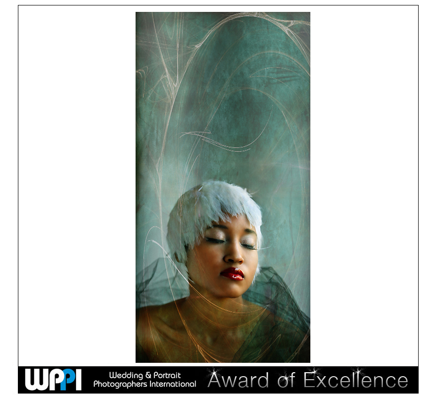 wppi1.jpg