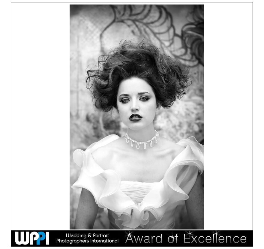 wppi2.jpg