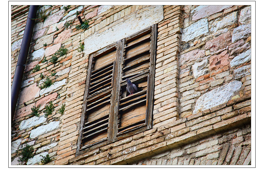 italy-0530.jpg