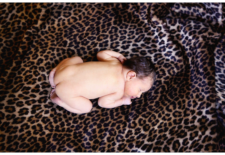 addie-0077.jpg