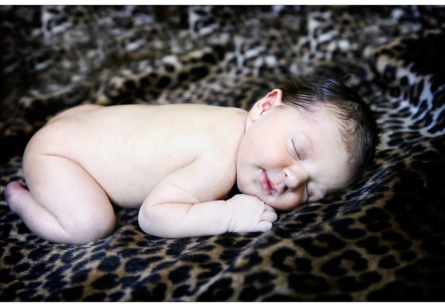 addie-00901.jpg