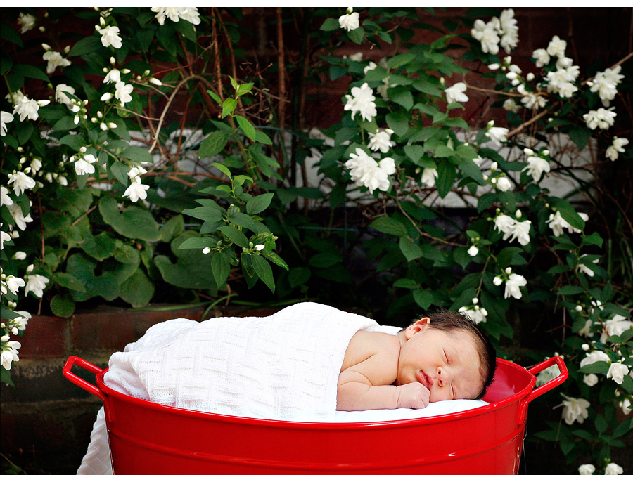 addie-0127.jpg